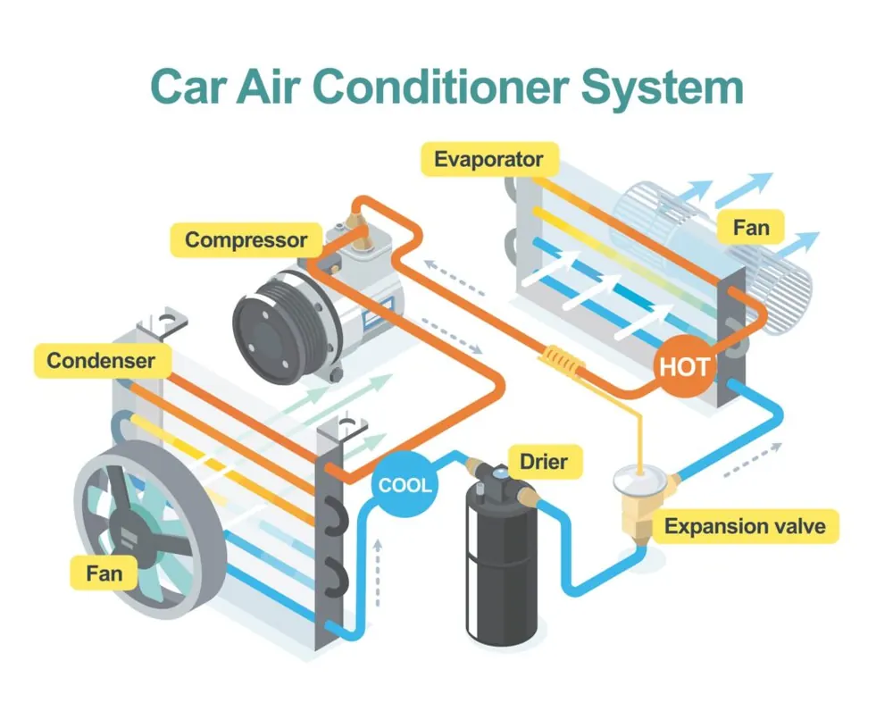 Diagram of a car air conditioner system: compressor, condenser, drier, expansion valve, evaporator and fans